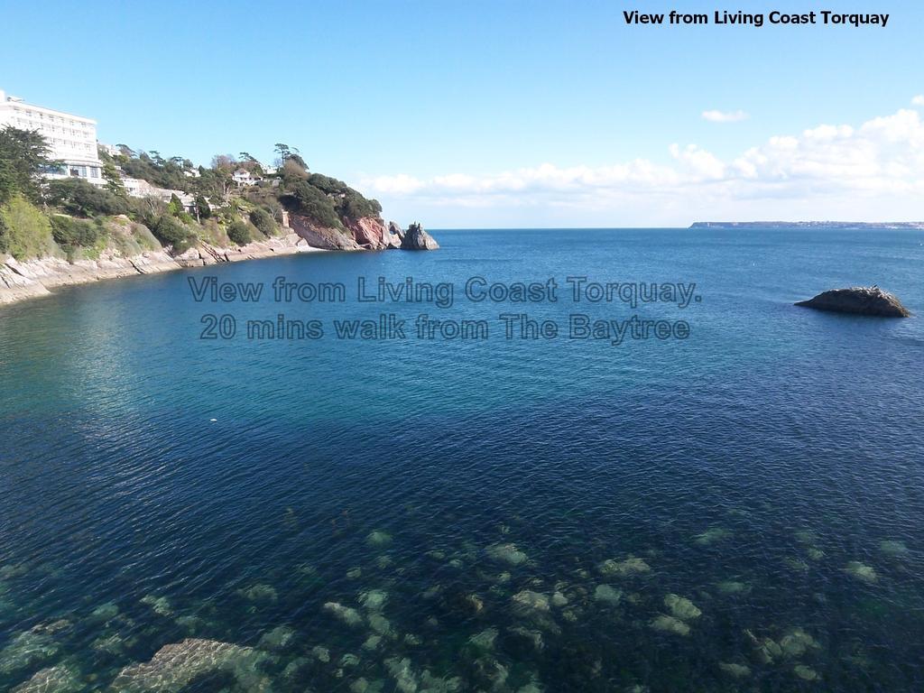 Hotel The Baytree Torquay Exterior foto